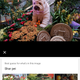 Even though it wasn’t a real dog, Google Lens still identified the breed correctly.